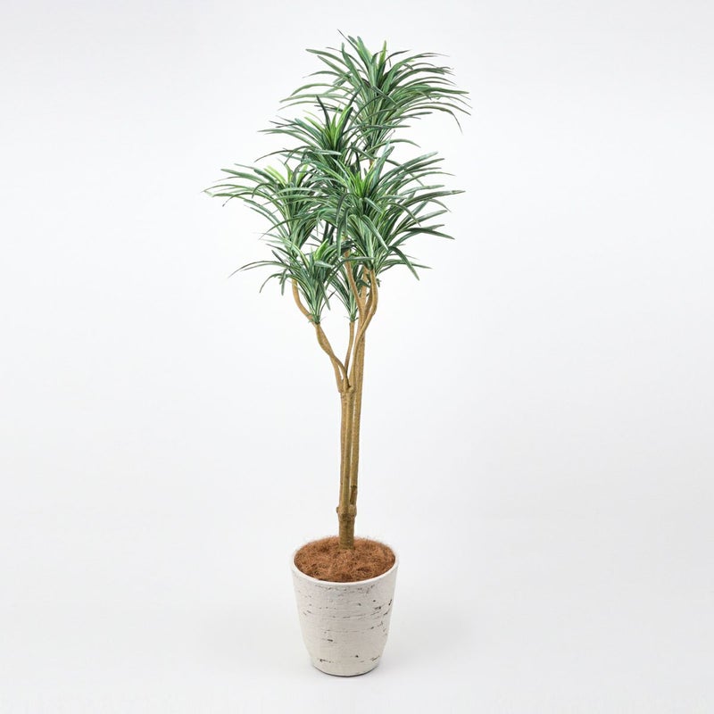 《オンライン限定》ユッカ フェイクグリーン [WEB525]