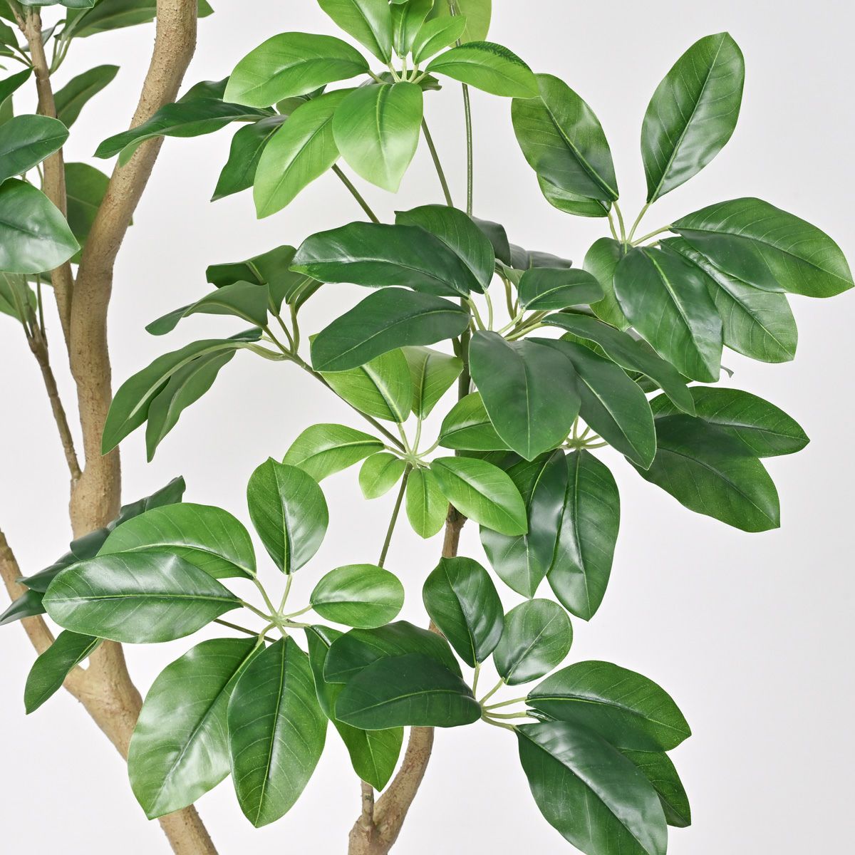 シェフレラL フェイクグリーン [128] BA 高さ190cm 観葉植物 開店祝い