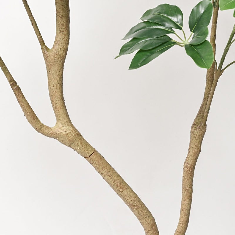 シェフレラL フェイクグリーン [128]