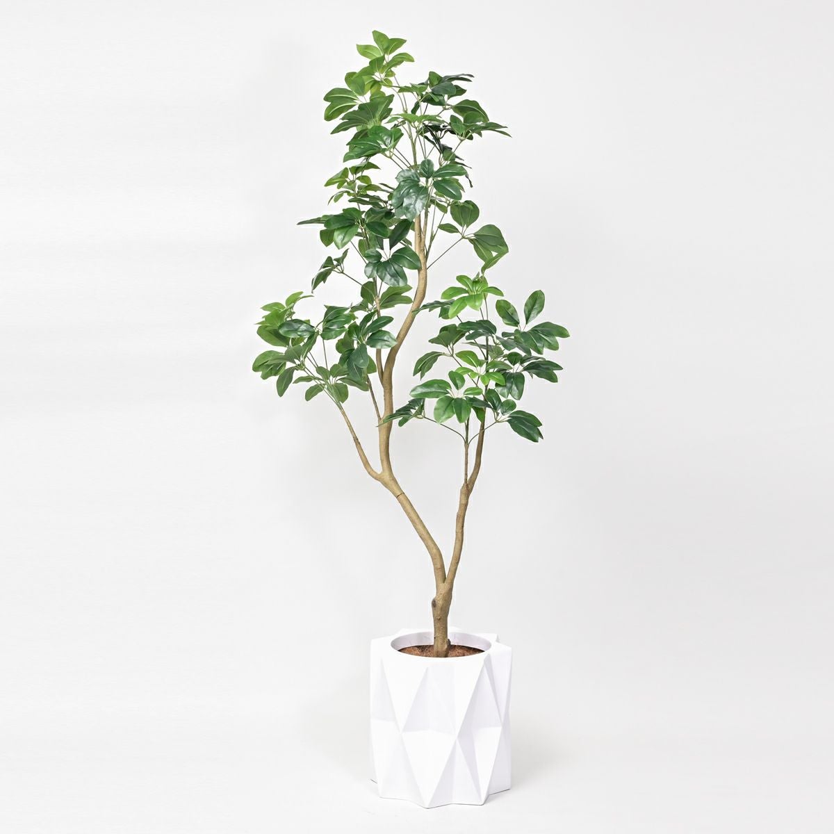 シェフレラL フェイクグリーン [128] BA 高さ190cm 観葉植物 開店祝い