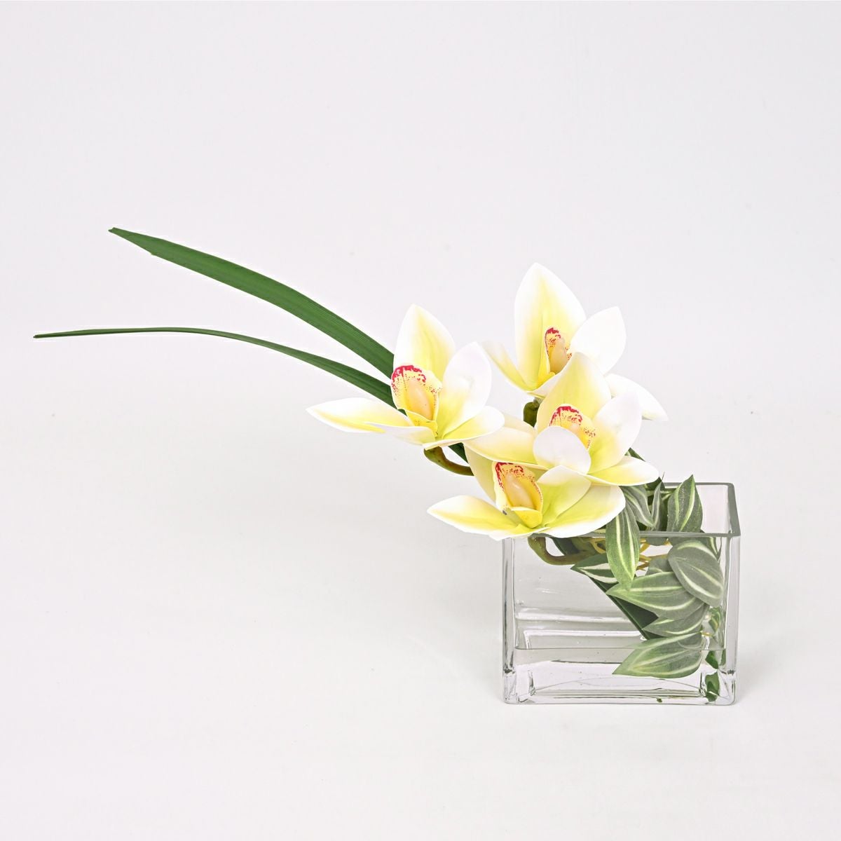 マジックウォーター グリーン アレンジメント [148]