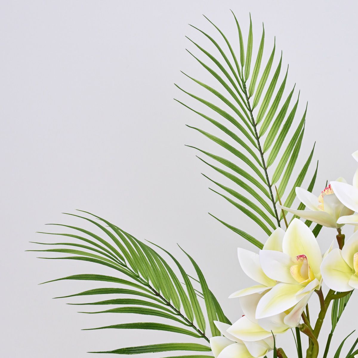 マジックウォーター グリーン アレンジメント [150]