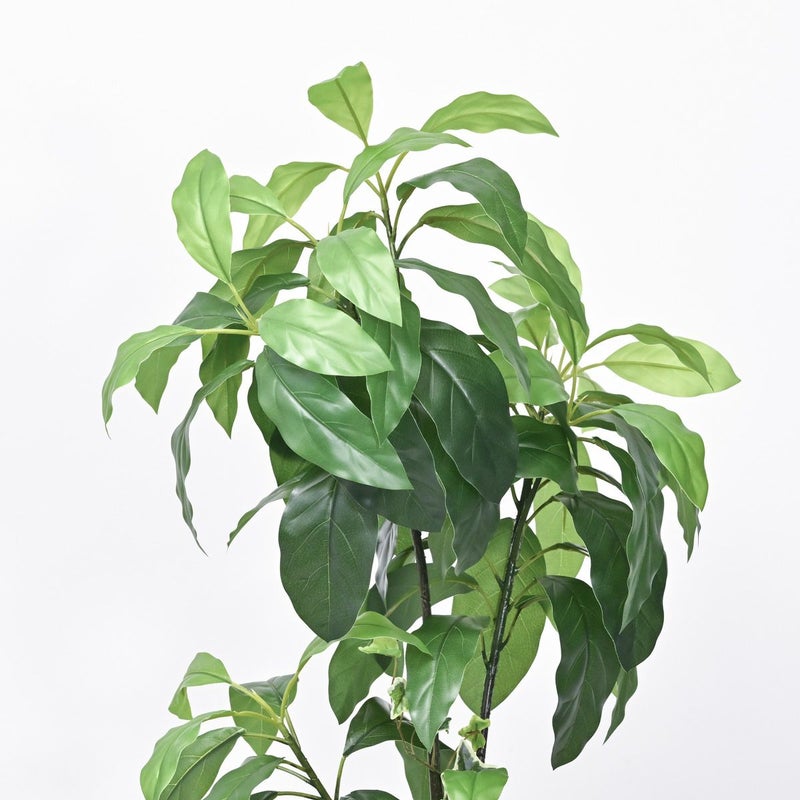 アボカド フェイクグリーン 寄せ植えアレンジ [P-25]