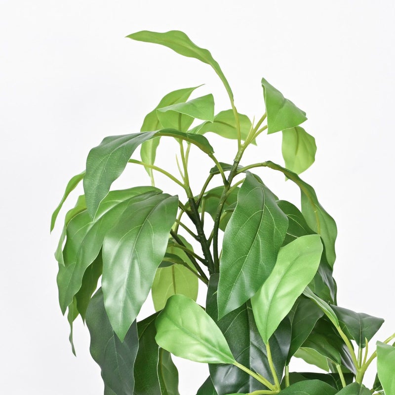 アボカド フェイクグリーン 寄せ植えアレンジ [P-25]