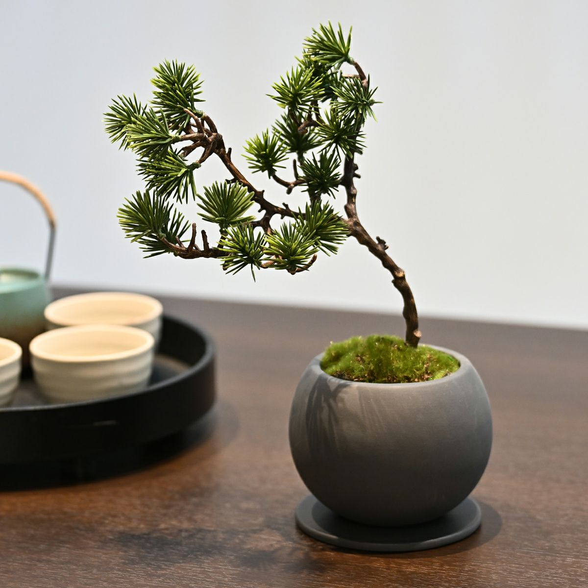 ミニ盆景美 [01]