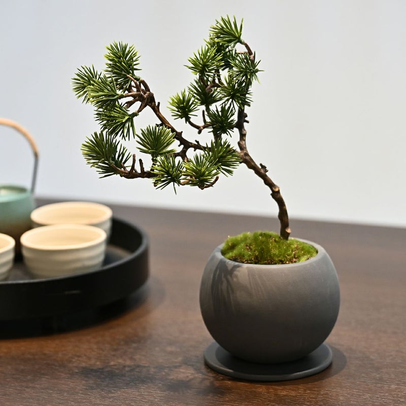 ミニ盆景美 [01]