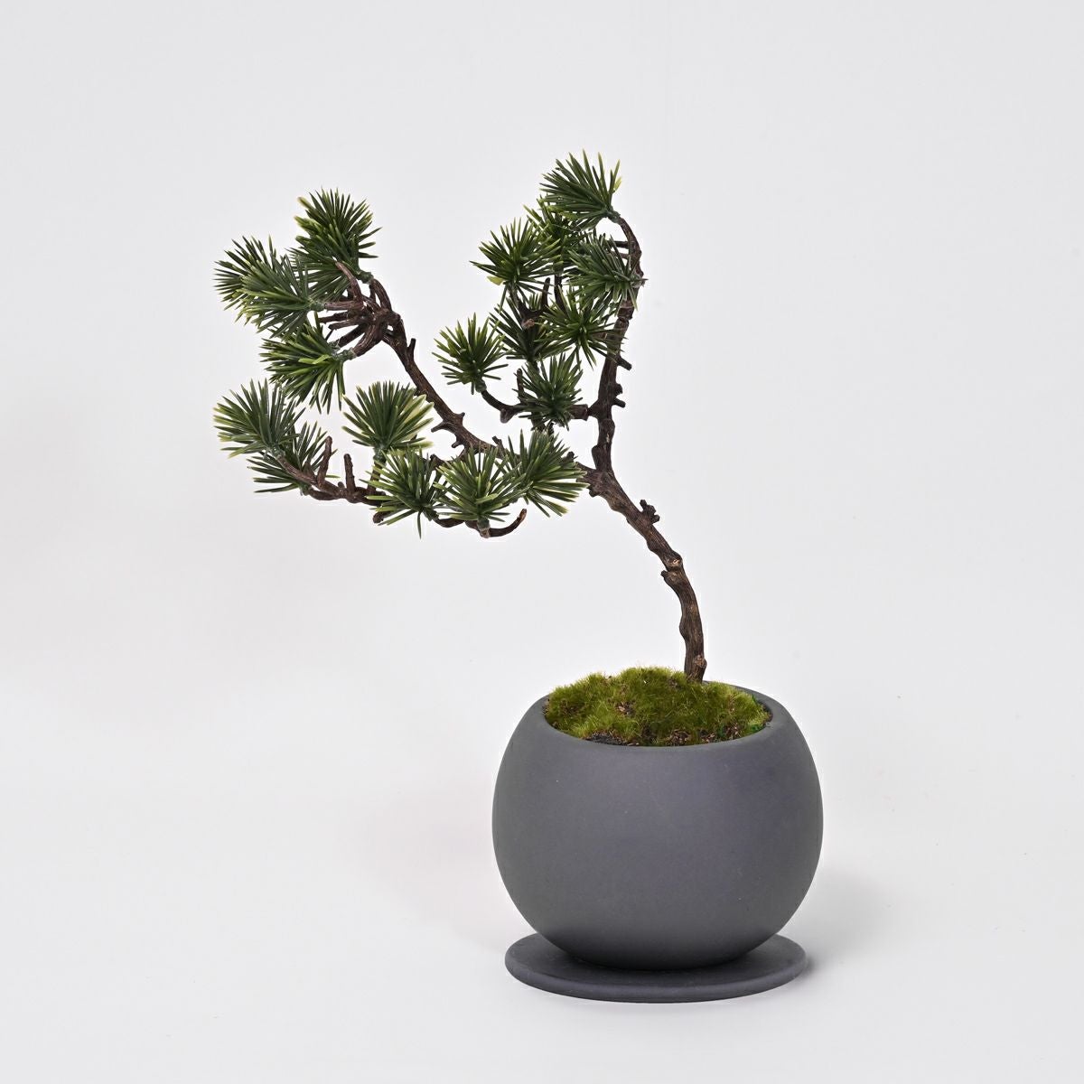 五葉松 ミニ盆景美 [01] BA 高さ30cm フェイクグリーン 盆栽 観葉植物