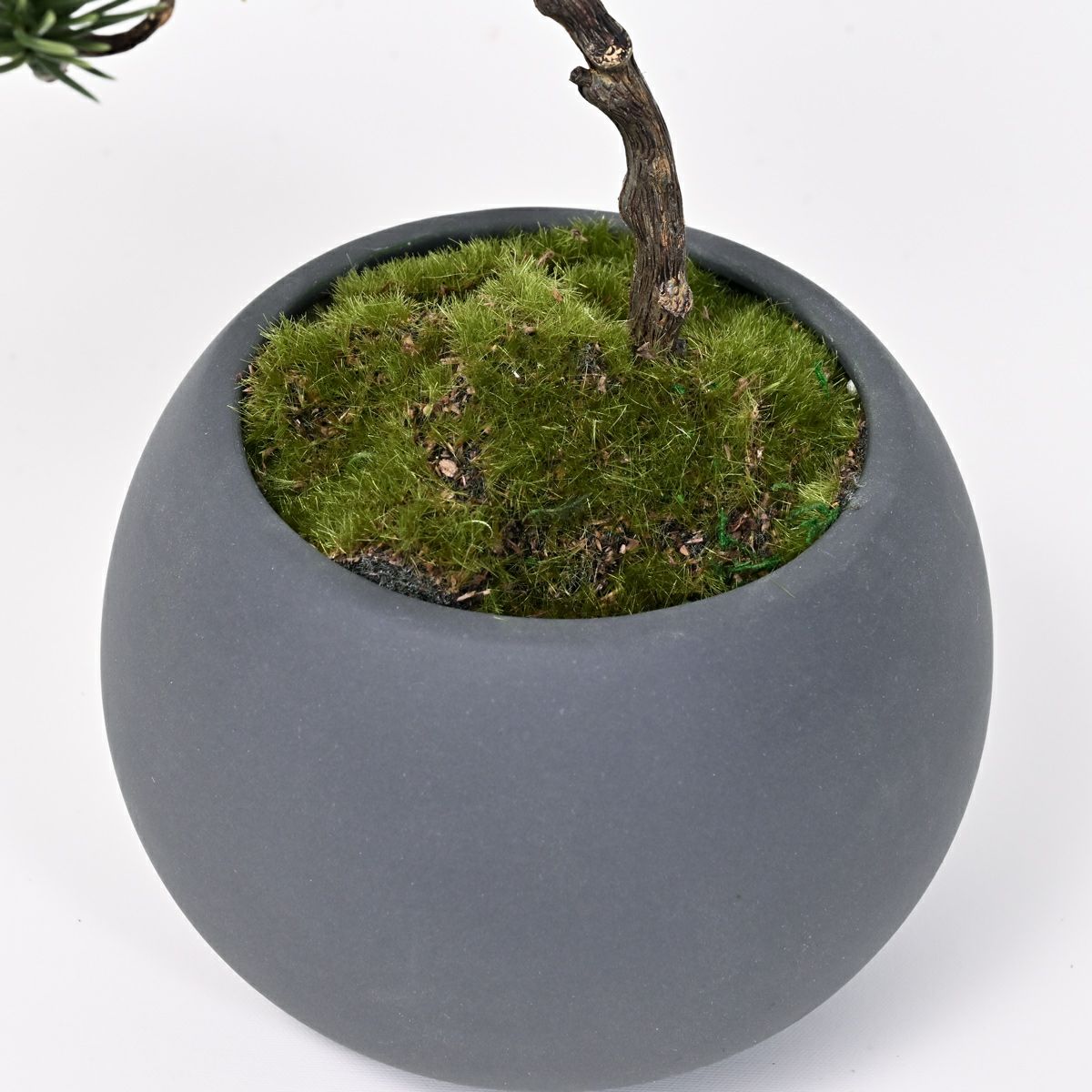 五葉松 ミニ盆景美 [01] BA 高さ30cm フェイクグリーン 盆栽 観葉植物