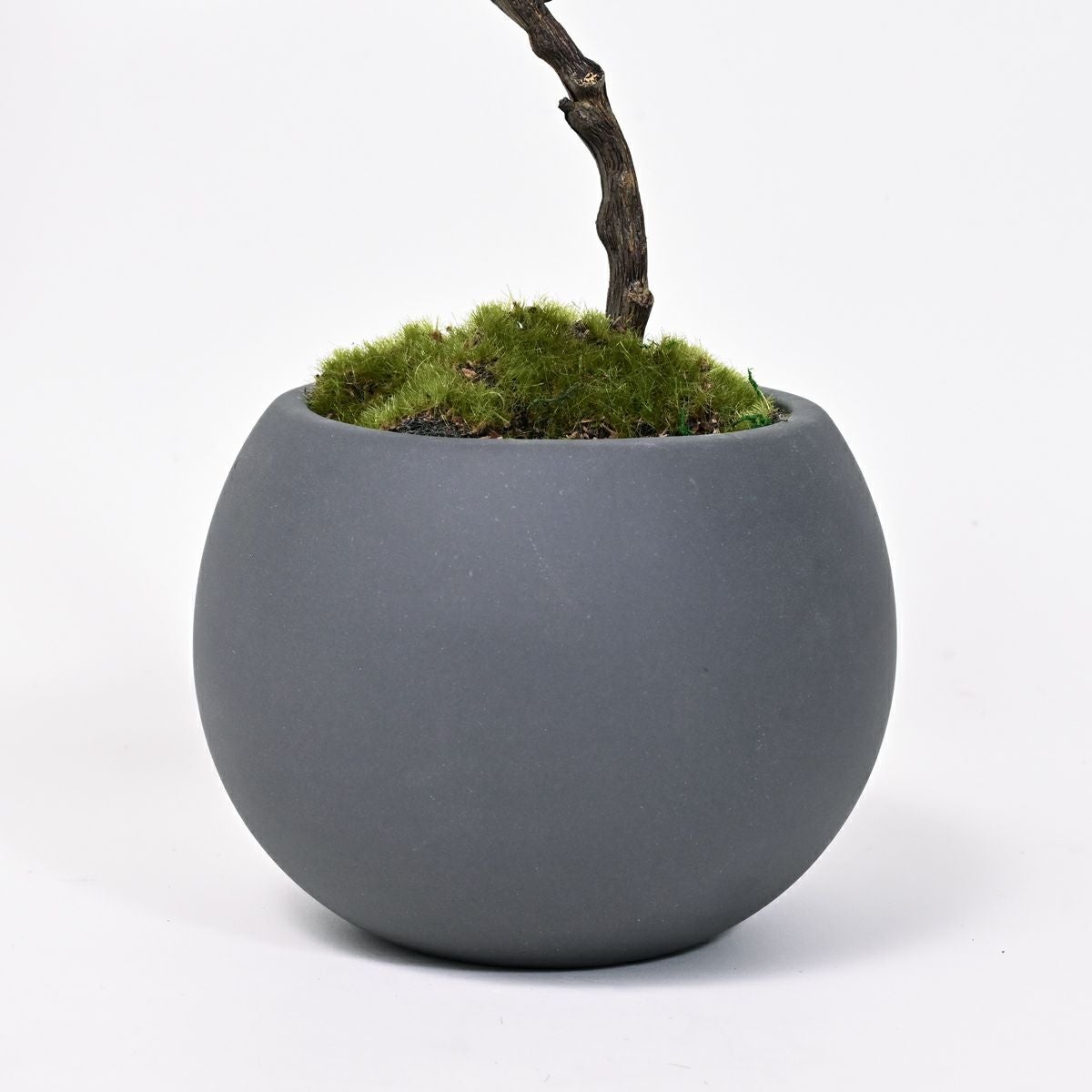 10%OFF】五葉松 ミニ盆景美 [01] BA 高さ30cm フェイクグリーン 盆栽