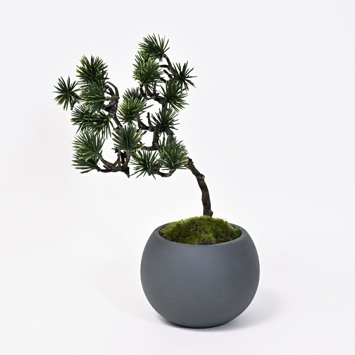 流れる幹の針葉樹盆栽 五葉松 ミニ盆景美 [01] BA 高さ30cm フェイクグリーン 盆栽 観葉植物