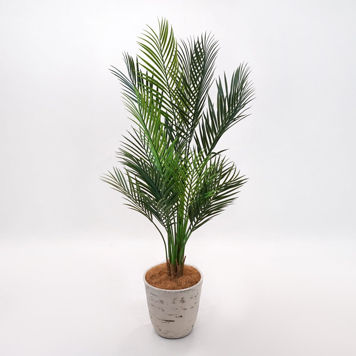 《オンライン限定》アレカヤシ フェイクグリーン [WEB615]