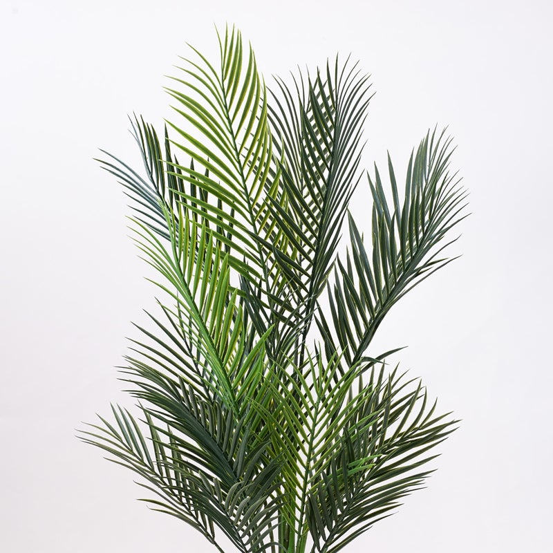 《オンライン限定》アレカヤシ フェイクグリーン [WEB615]