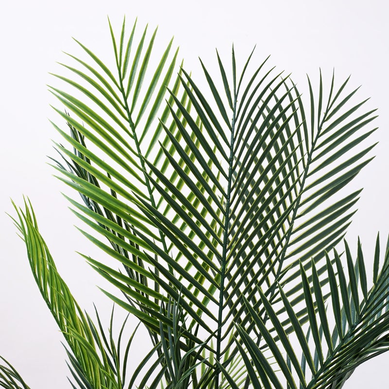 《オンライン限定》アレカヤシ フェイクグリーン [WEB615]