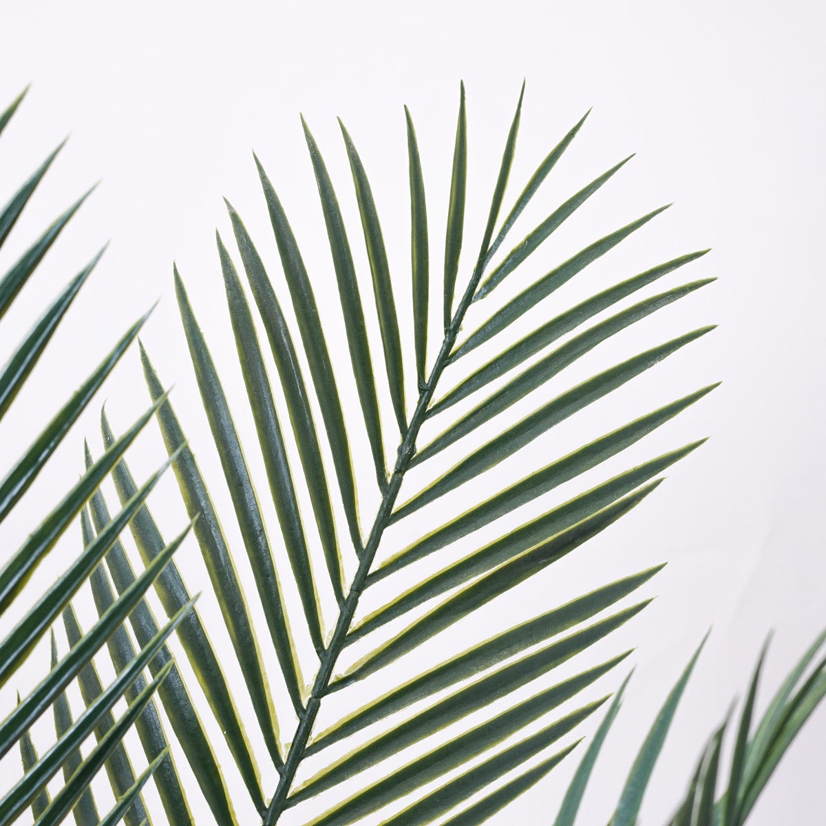 《オンライン限定》アレカヤシ フェイクグリーン [WEB615]