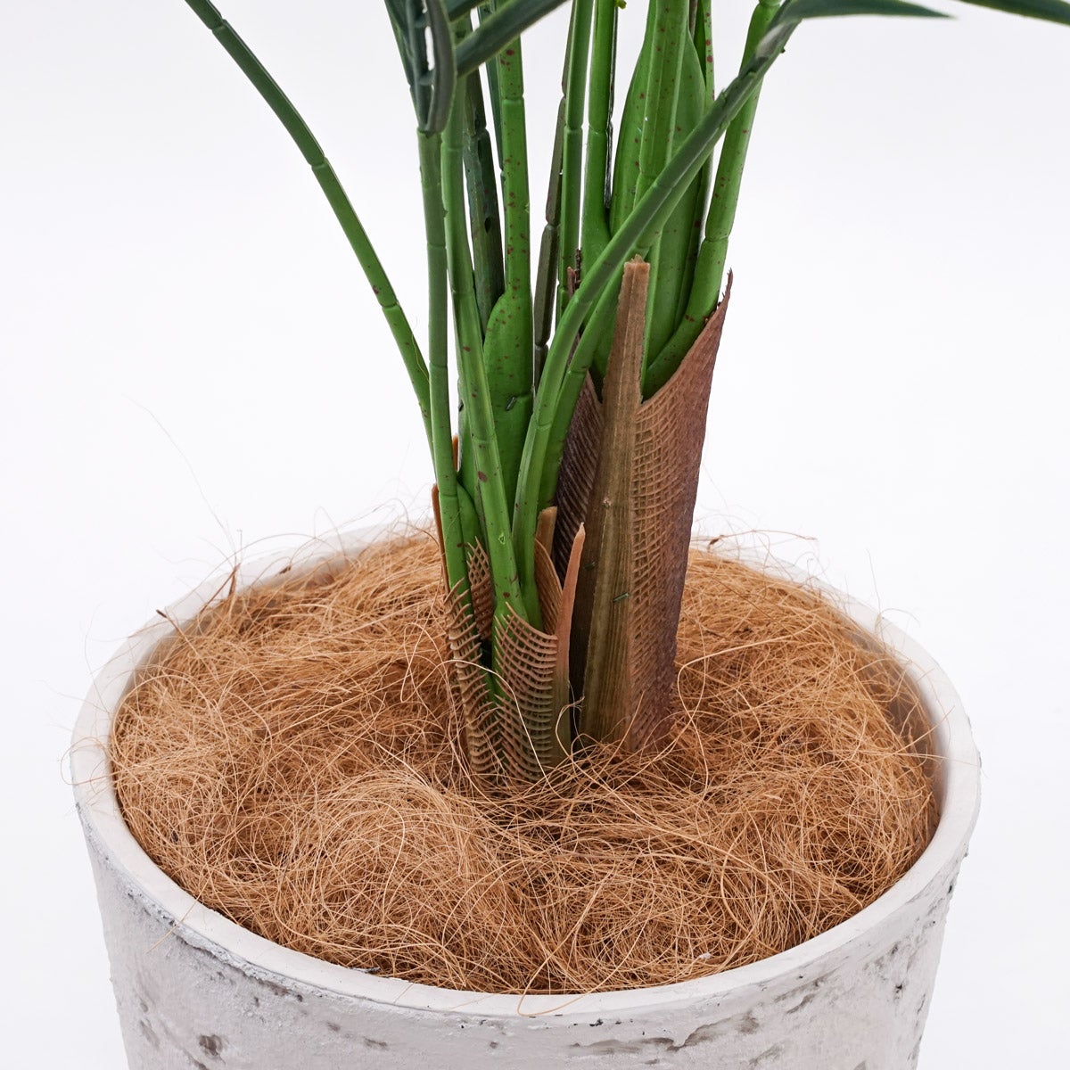 《オンライン限定》アレカヤシ フェイクグリーン [WEB615]