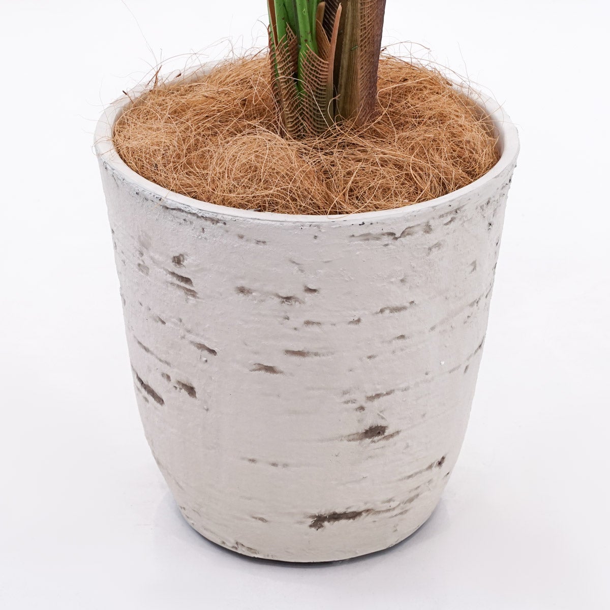 《オンライン限定》アレカヤシ フェイクグリーン [WEB615]