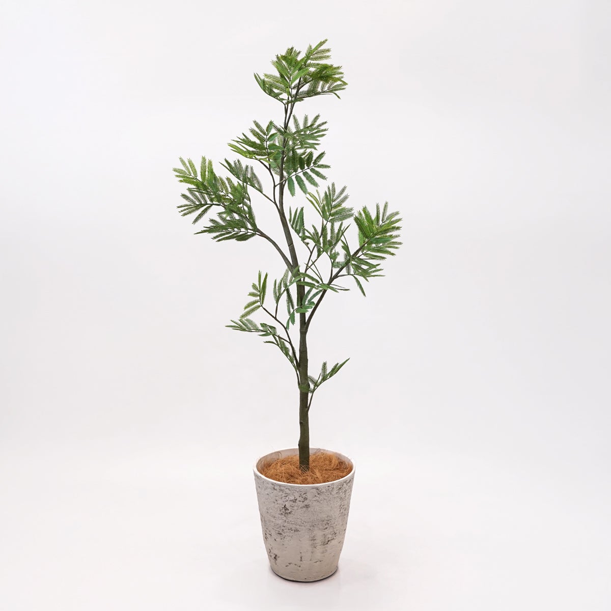 《オンライン限定》エバーフレッシュL フェイクグリーン [WEB616]