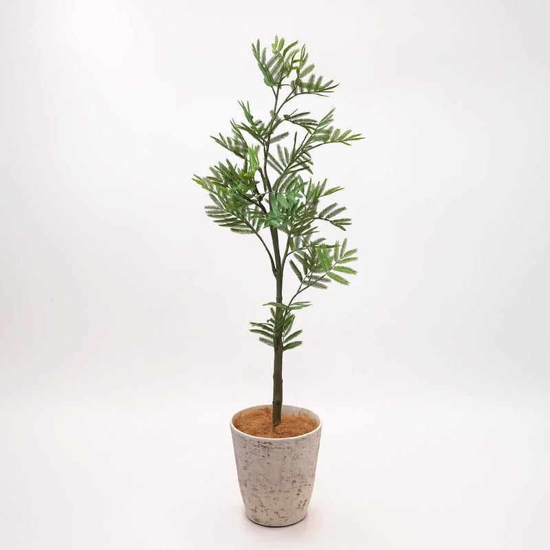 《オンライン限定》エバーフレッシュL フェイクグリーン [WEB616]