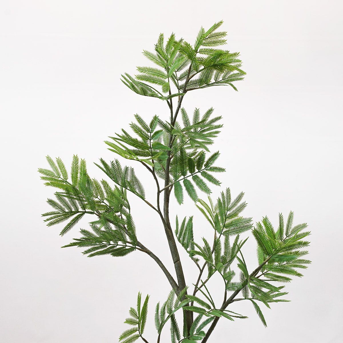 《オンライン限定》エバーフレッシュL フェイクグリーン [WEB616]