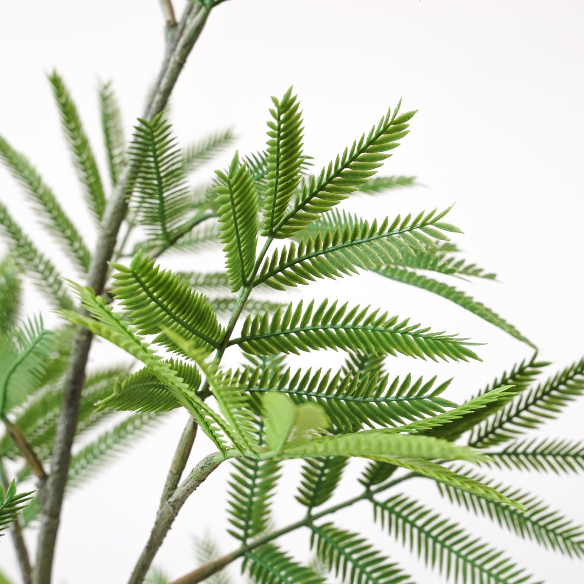 《オンライン限定》エバーフレッシュL フェイクグリーン [WEB616]