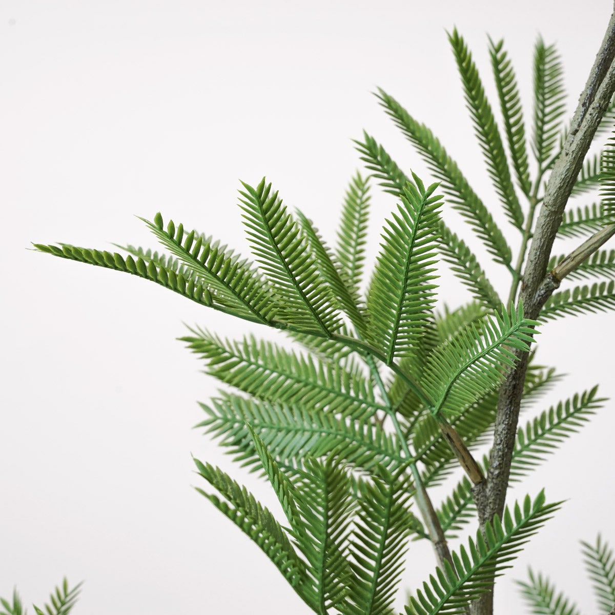 《オンライン限定》エバーフレッシュL フェイクグリーン [WEB616]