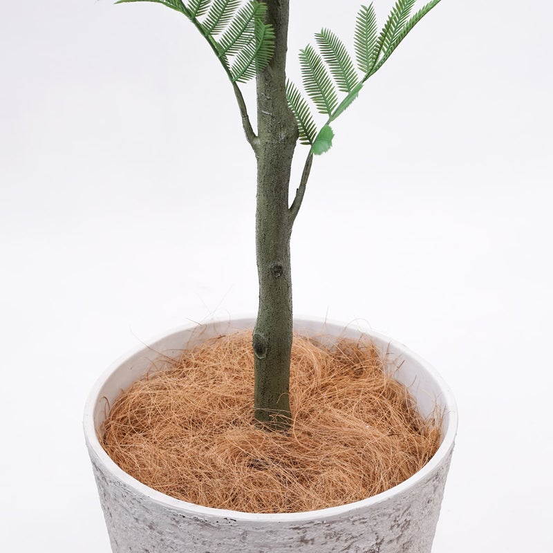 《オンライン限定》エバーフレッシュL フェイクグリーン [WEB616]