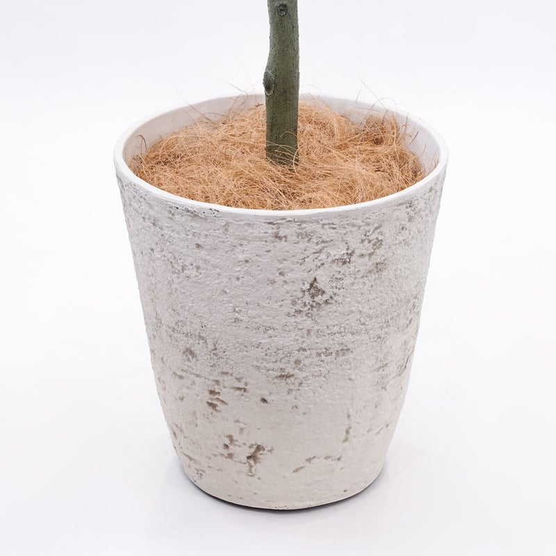 《オンライン限定》エバーフレッシュL フェイクグリーン [WEB616]