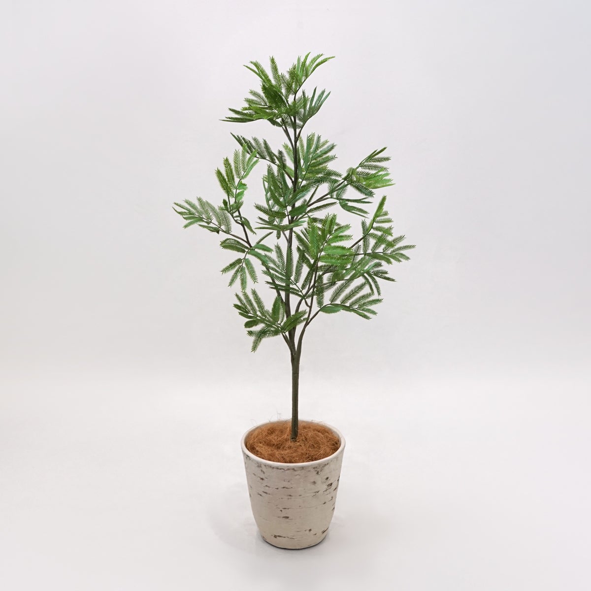 《オンライン限定》エバーフレッシュM フェイクグリーン [WEB617]