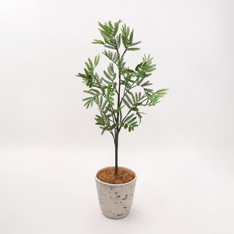 《オンライン限定》エバーフレッシュM フェイクグリーン [WEB617]