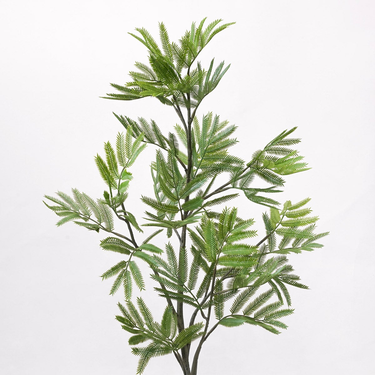 《オンライン限定》エバーフレッシュM フェイクグリーン [WEB617]