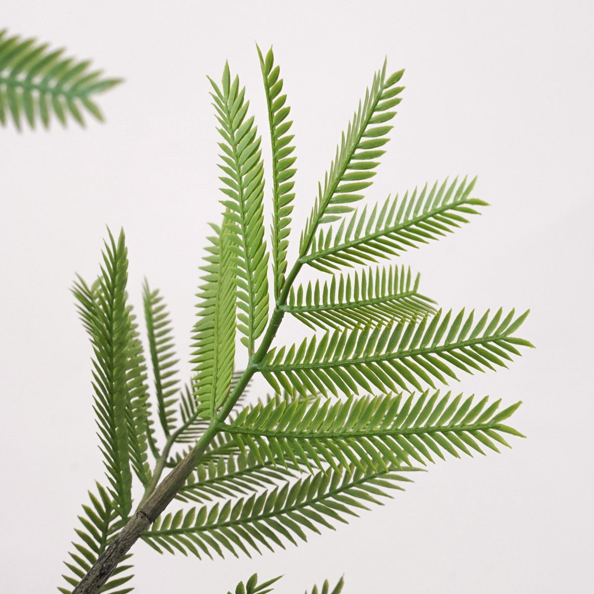 《オンライン限定》エバーフレッシュM フェイクグリーン [WEB617]