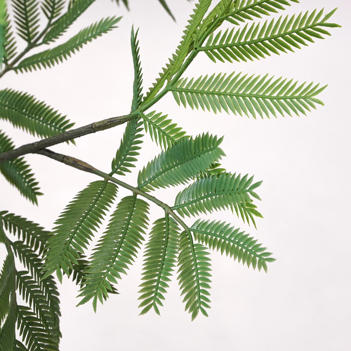 《オンライン限定》エバーフレッシュM フェイクグリーン [WEB617]