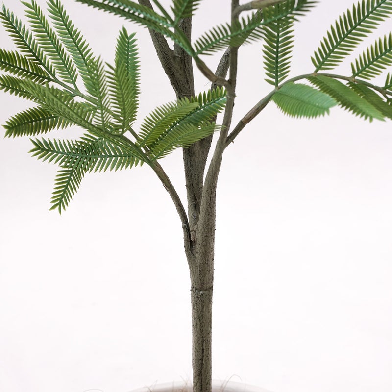 《オンライン限定》エバーフレッシュM フェイクグリーン [WEB617]