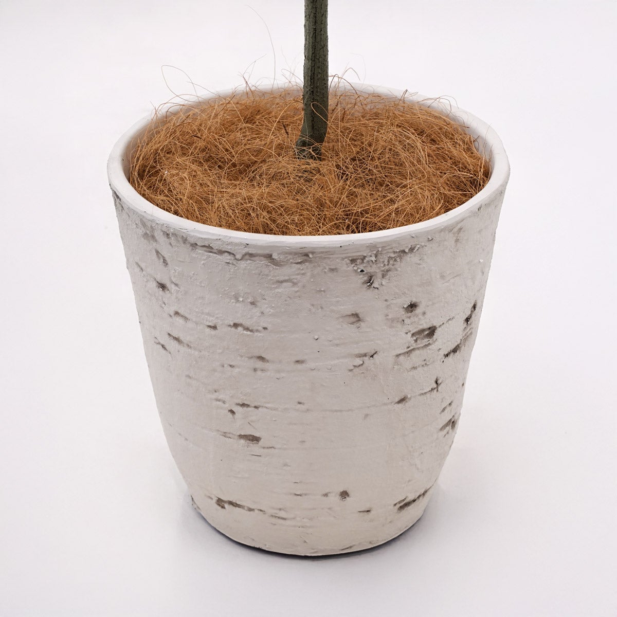 《オンライン限定》エバーフレッシュM フェイクグリーン [WEB617]