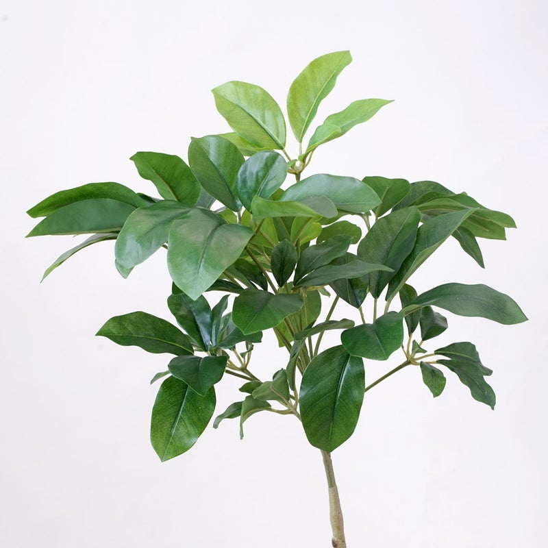 《オンライン限定》シェフレラ フェイクグリーン [WEB618]