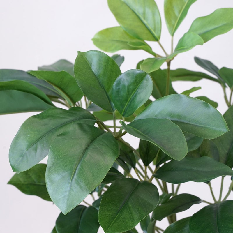 《オンライン限定》シェフレラ フェイクグリーン [WEB618]