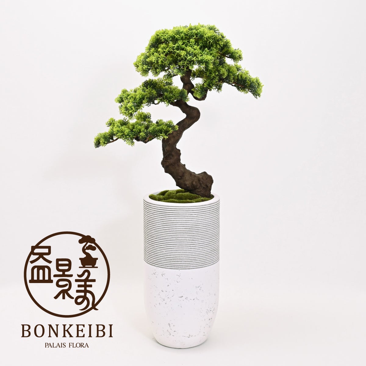 【数量限定】盆景美 [02A]