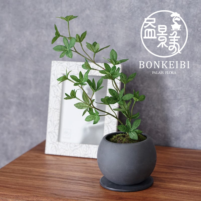 ミニ盆景美 [02]