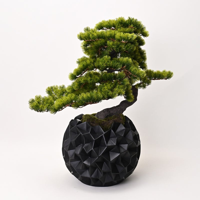 【数量限定】盆景美 [05]