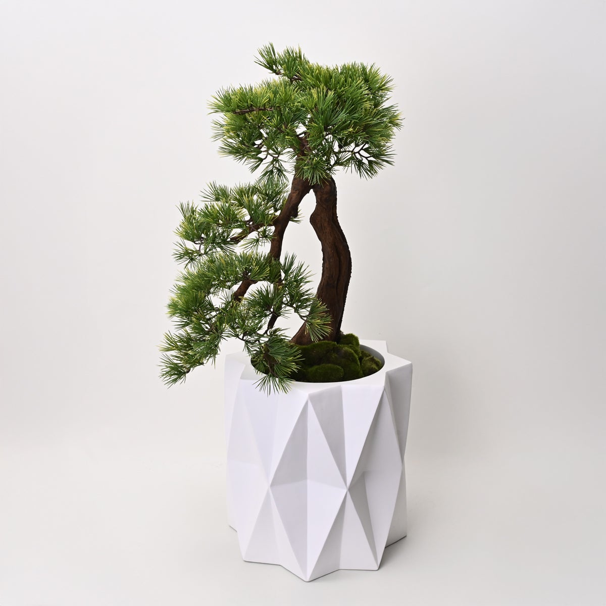 【数量限定】盆景美 [06]