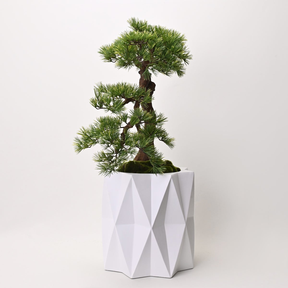 【数量限定】盆景美 [06]