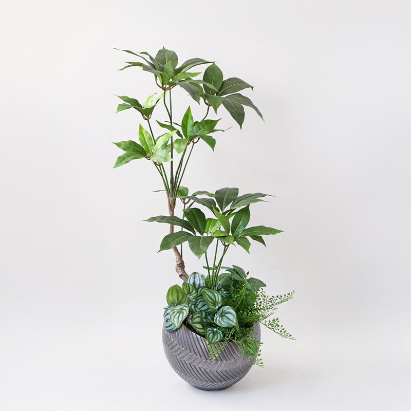 寄せ植え ツピタンサス フェイクグリーン [P-22]