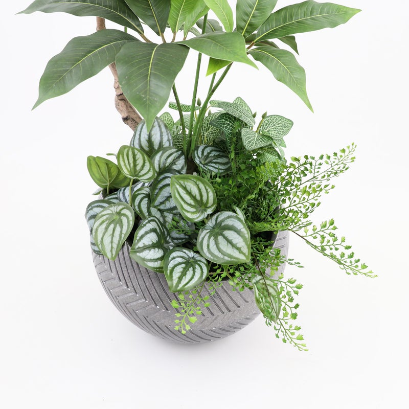 寄せ植え ツピタンサス フェイクグリーン [P-22]
