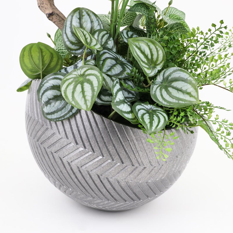 寄せ植え ツピタンサス フェイクグリーン [P-22]