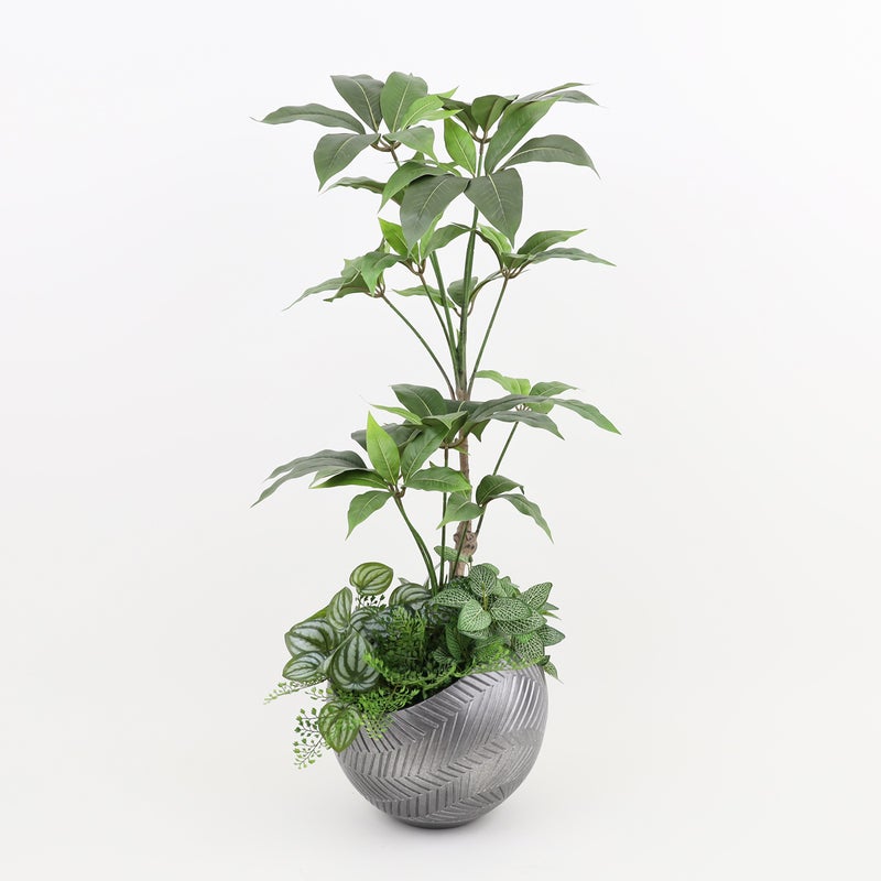 寄せ植え ツピタンサス フェイクグリーン [P-22]