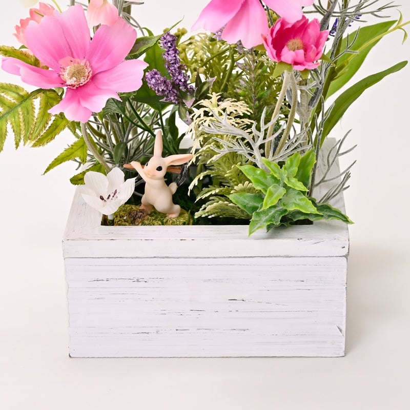 コスモス [WEB641] 
